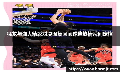 BB贝博登录入口